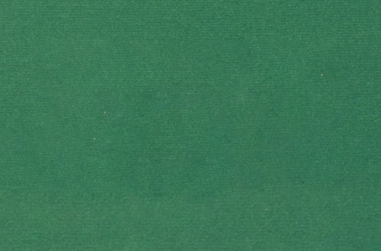 Table de poker 8 joueurs racetrack (vert)